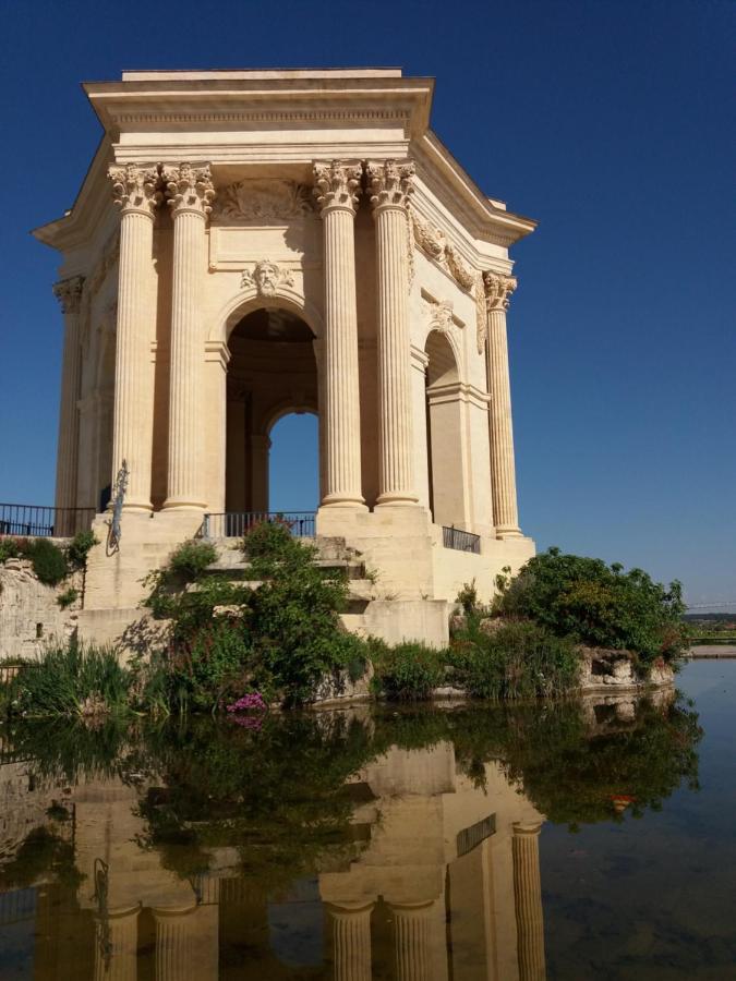 Un Oasis Au Coeur De La Vieille Ville, Classe 4 Etoiles Montpellier Kültér fotó